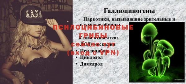 трава Надым