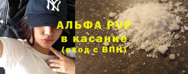 трава Надым