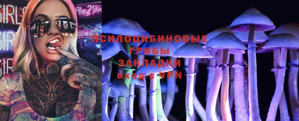 трава Надым